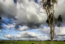 陕西长安队备战精神十足，战场上展现强大实力