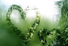 激情抢球，实力碰撞的豪门之争