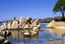 陕西长安队备战精神十足，战场上展现强大实力